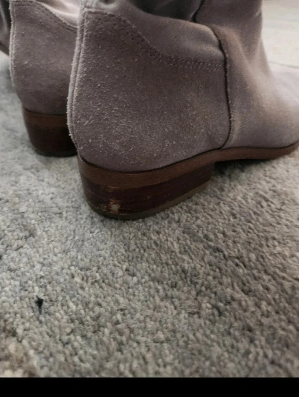 Knee-High Suede Riding Boots in Taupe
